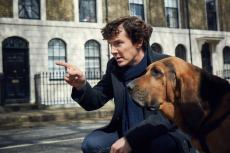 Sherlock with hound